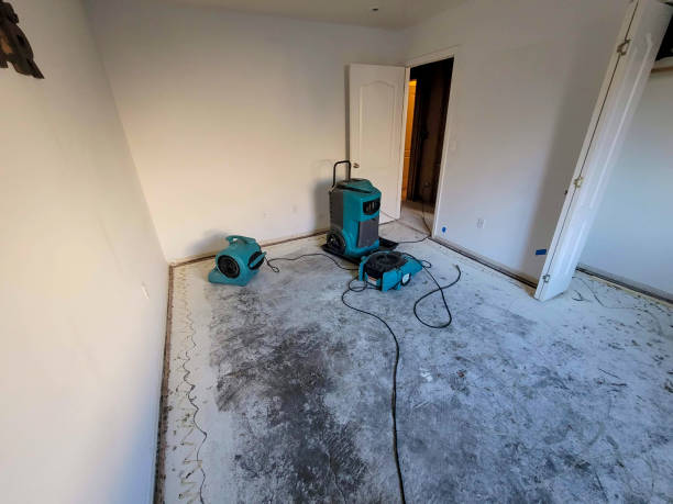 Best Flood restoration services  in Wintersville, OH