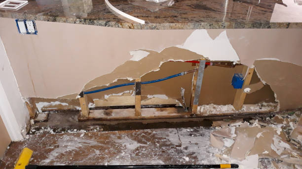 Best Ceiling water damage repair  in Wintersville, OH