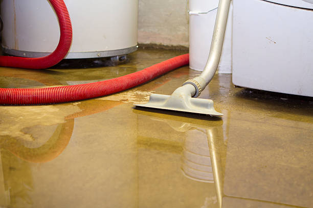 Best Mold removal after water damage  in Wintersville, OH
