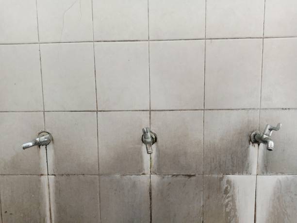 Best Flood restoration services  in Wintersville, OH