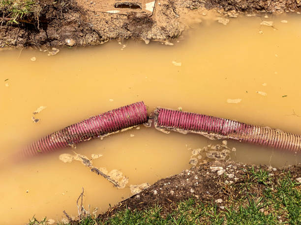 Best 24/7 water damage repair  in Wintersville, OH